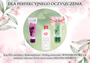 DLA PERFEKCYJNEGO OCZYSZCZENIA - 10206/30205/10201